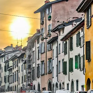 Belle Arti Bérgamo